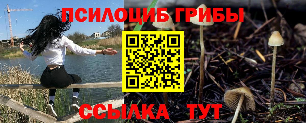 Псилоцибиновые грибы мухоморы  Вход с VPN  Чусовой 